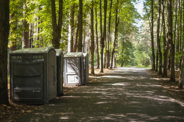 Best Local porta potty services  in Hamlin, WV